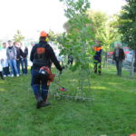 IMG_0251