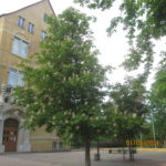 Schulhof